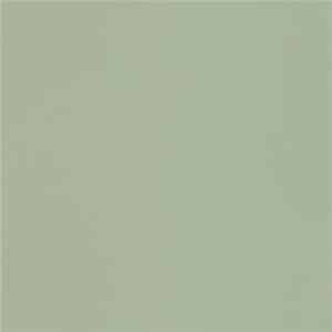 Papel Pintado Casadeco Uni Vert de Gris 69867200